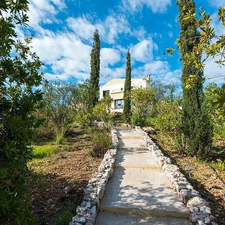 Villa Aegean Blue Villa's